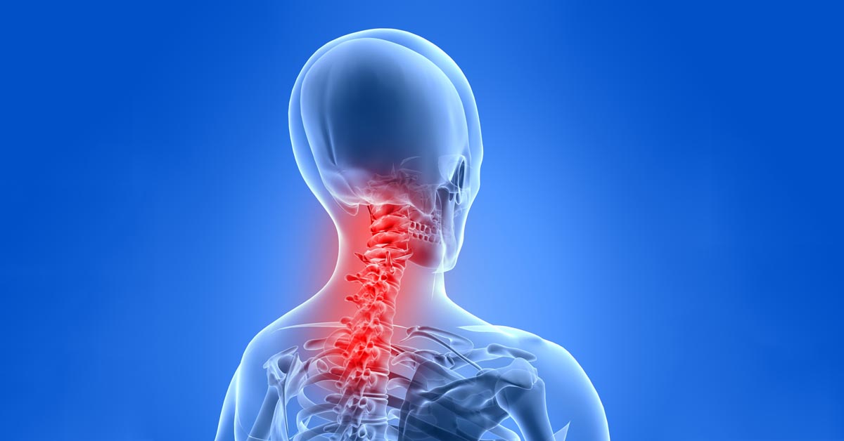Chiropractic Federal Way, Washington